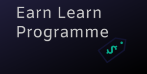 earn learn programme-Digital Solutions Waqas