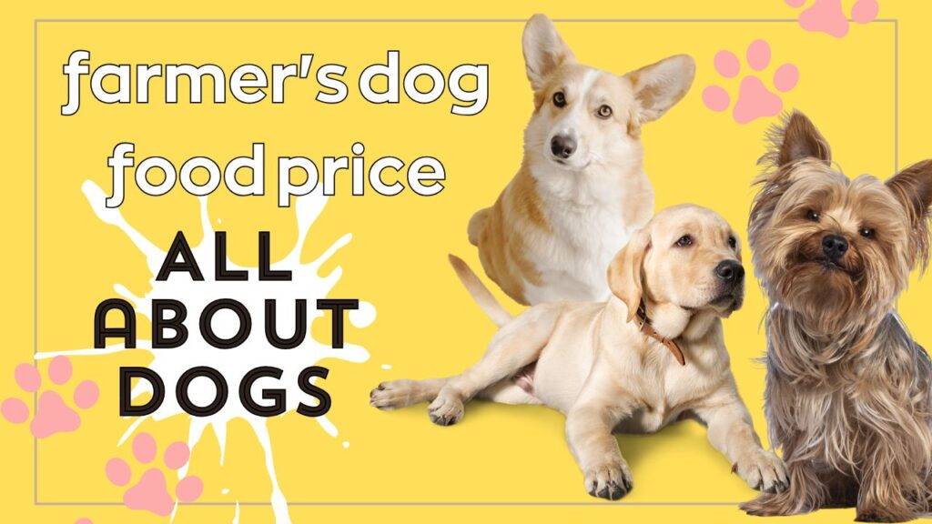 farmer's dog food price-Digital Solutions Waqas